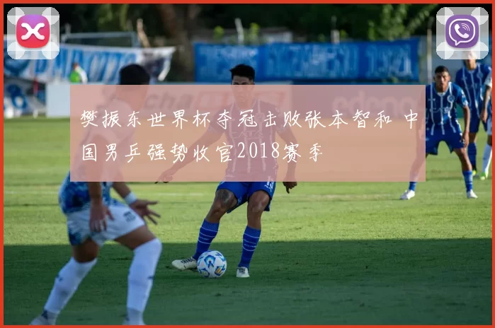 樊振东世界杯夺冠击败张本智和 中国男乒强势收官2018赛季